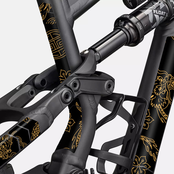 Protezione Full Dragon