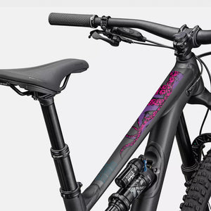 Protezione Squid